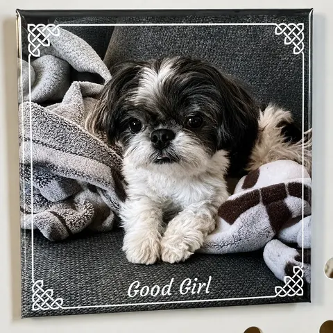 Pet Magnets - Good Girl
